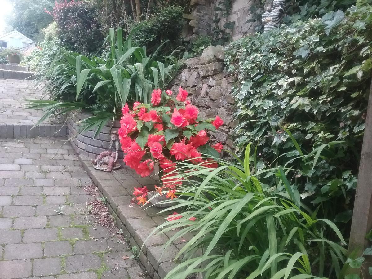 Ashleigh House Bed & Breakfast Monaghan Luaran gambar